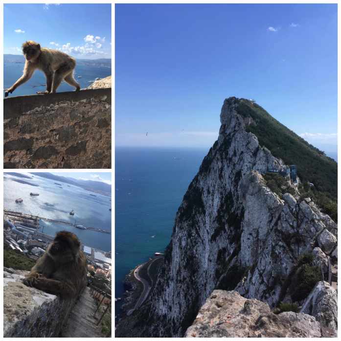 B1F8C877-4966-4E7B-9F86-731482334159